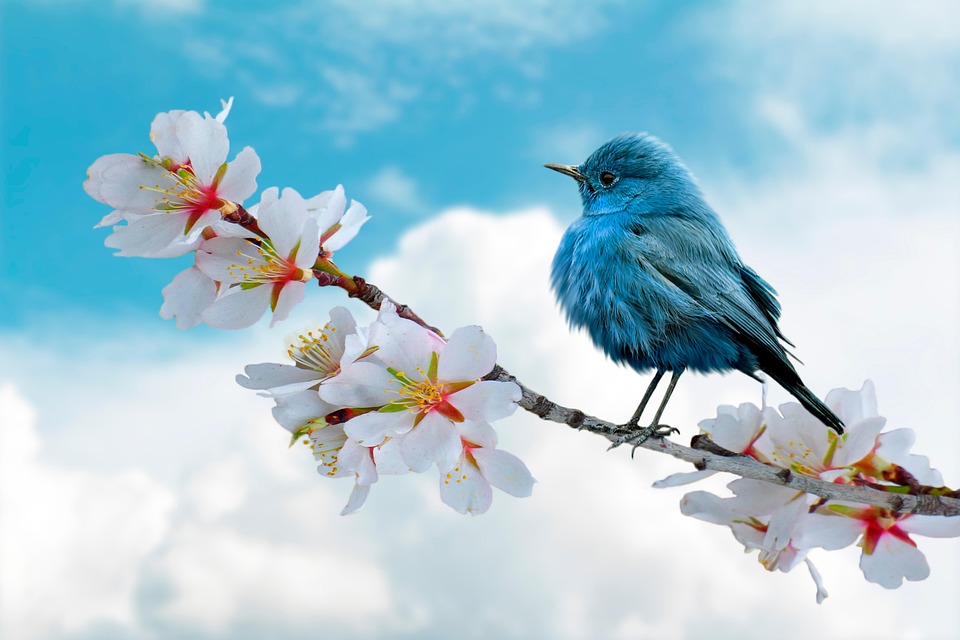 Balancing an In-House Team and External Freelancers in Your Company