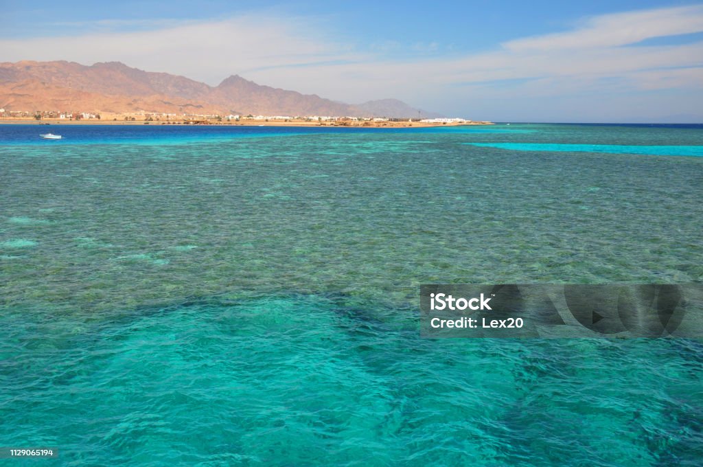How to Enter the Tourism Marketplace to Scale Your Bookings
