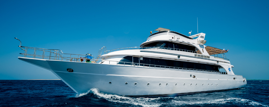 Transfer Business Owner Guide: Start Online Bookings Without Technical Expertise